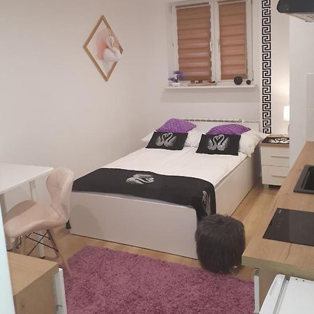 Apartamenty Centrum Panoramiczna Mala Dwojka Swan Labedz Promenada Klimatyzacja Lodowa Kielce Eksteriør billede