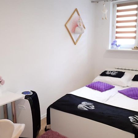 Apartamenty Centrum Panoramiczna Mala Dwojka Swan Labedz Promenada Klimatyzacja Lodowa Kielce Eksteriør billede