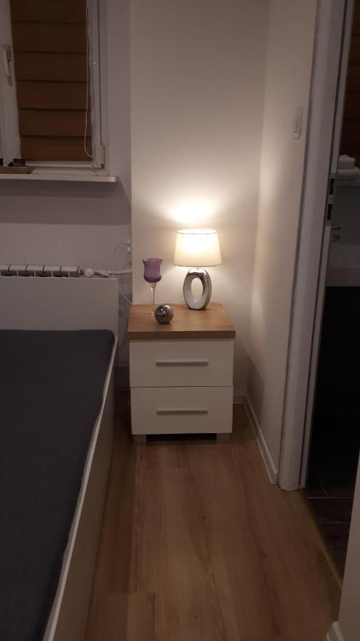 Apartamenty Centrum Panoramiczna Mala Dwojka Swan Labedz Promenada Klimatyzacja Lodowa Kielce Eksteriør billede