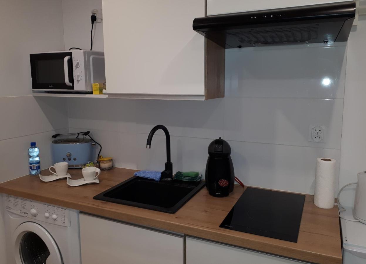 Apartamenty Centrum Panoramiczna Mala Dwojka Swan Labedz Promenada Klimatyzacja Lodowa Kielce Eksteriør billede