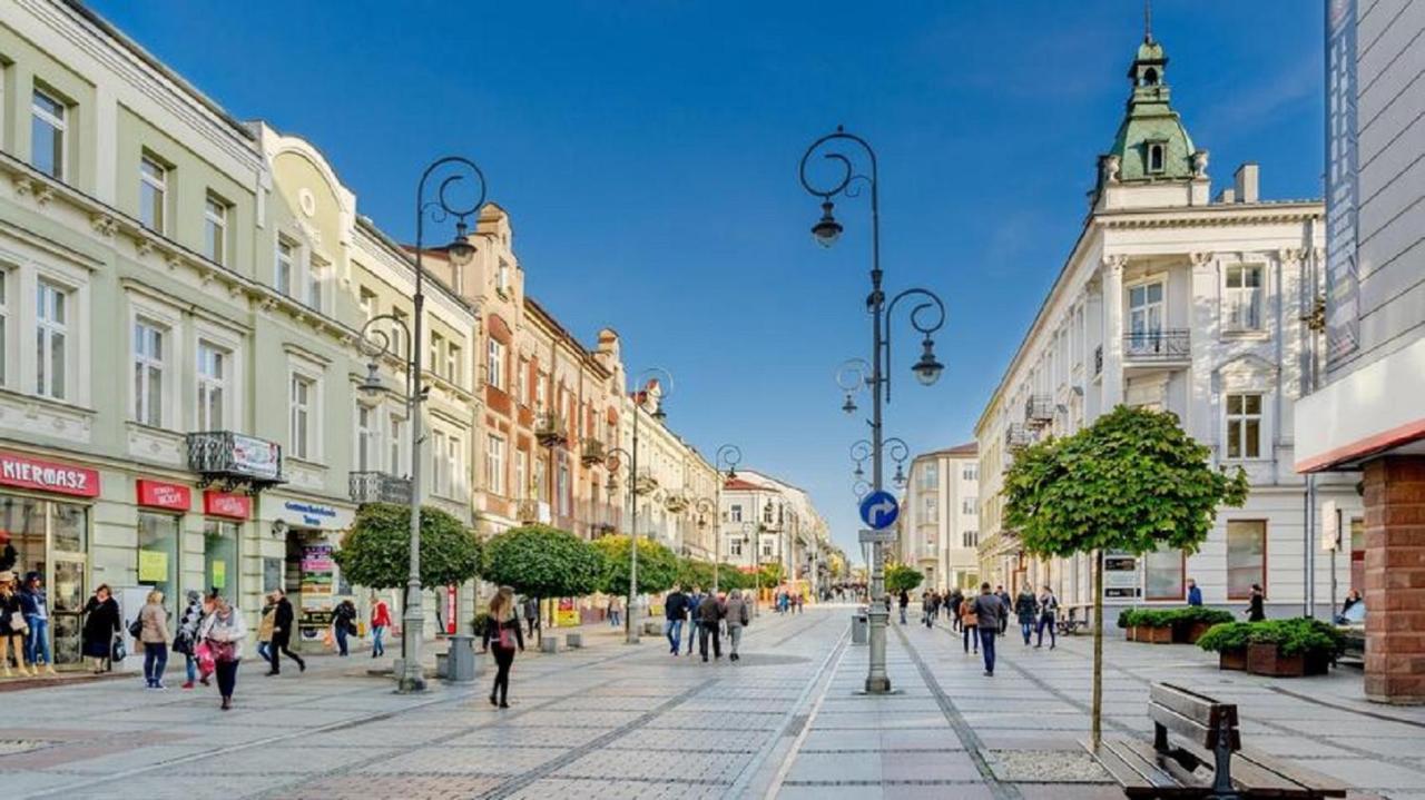 Apartamenty Centrum Panoramiczna Mala Dwojka Swan Labedz Promenada Klimatyzacja Lodowa Kielce Eksteriør billede