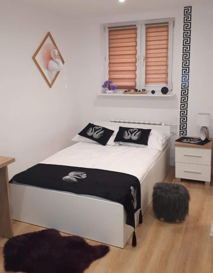 Apartamenty Centrum Panoramiczna Mala Dwojka Swan Labedz Promenada Klimatyzacja Lodowa Kielce Eksteriør billede