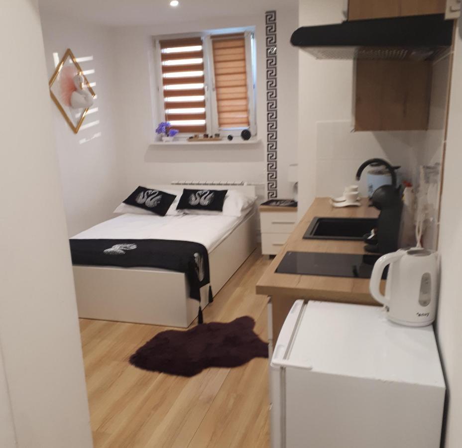 Apartamenty Centrum Panoramiczna Mala Dwojka Swan Labedz Promenada Klimatyzacja Lodowa Kielce Eksteriør billede