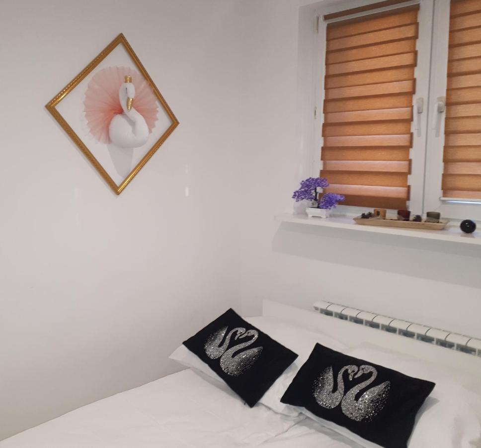Apartamenty Centrum Panoramiczna Mala Dwojka Swan Labedz Promenada Klimatyzacja Lodowa Kielce Eksteriør billede