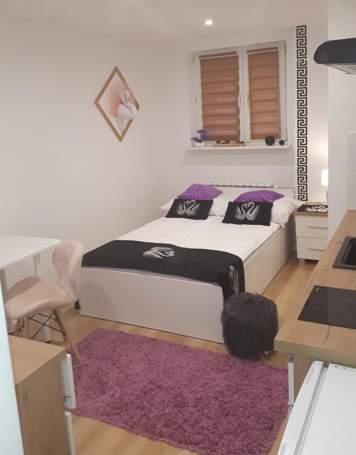 Apartamenty Centrum Panoramiczna Mala Dwojka Swan Labedz Promenada Klimatyzacja Lodowa Kielce Eksteriør billede