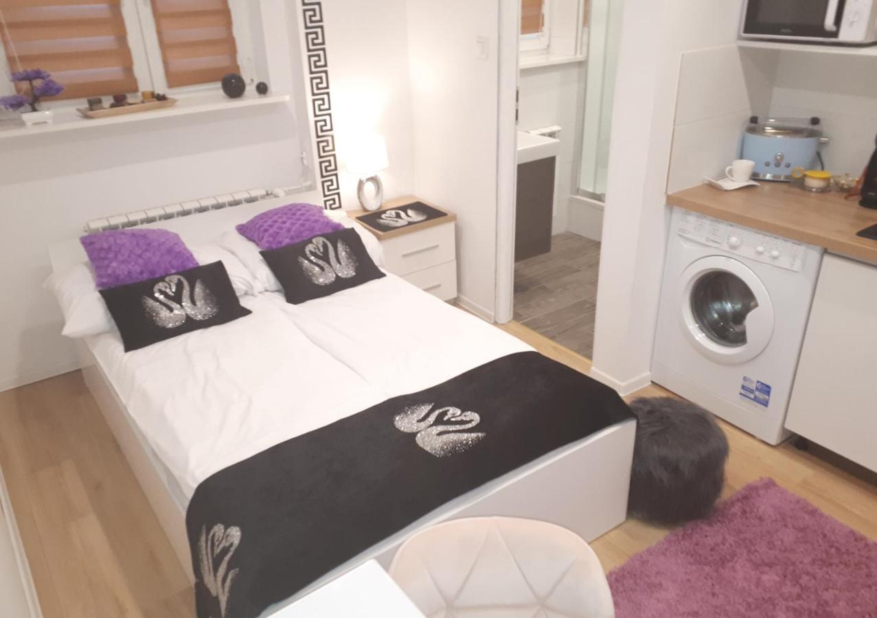 Apartamenty Centrum Panoramiczna Mala Dwojka Swan Labedz Promenada Klimatyzacja Lodowa Kielce Eksteriør billede