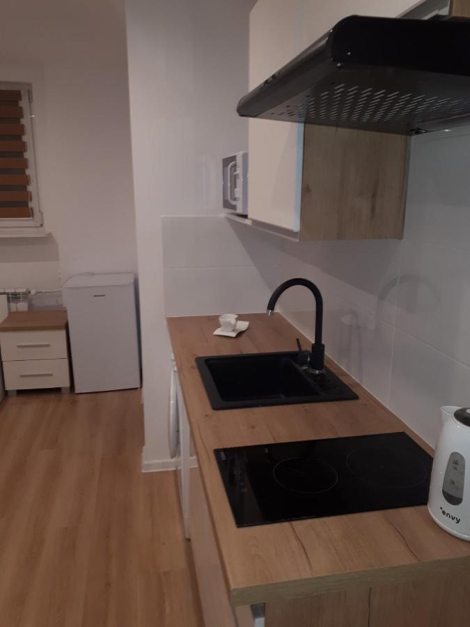 Apartamenty Centrum Panoramiczna Mala Dwojka Swan Labedz Promenada Klimatyzacja Lodowa Kielce Eksteriør billede